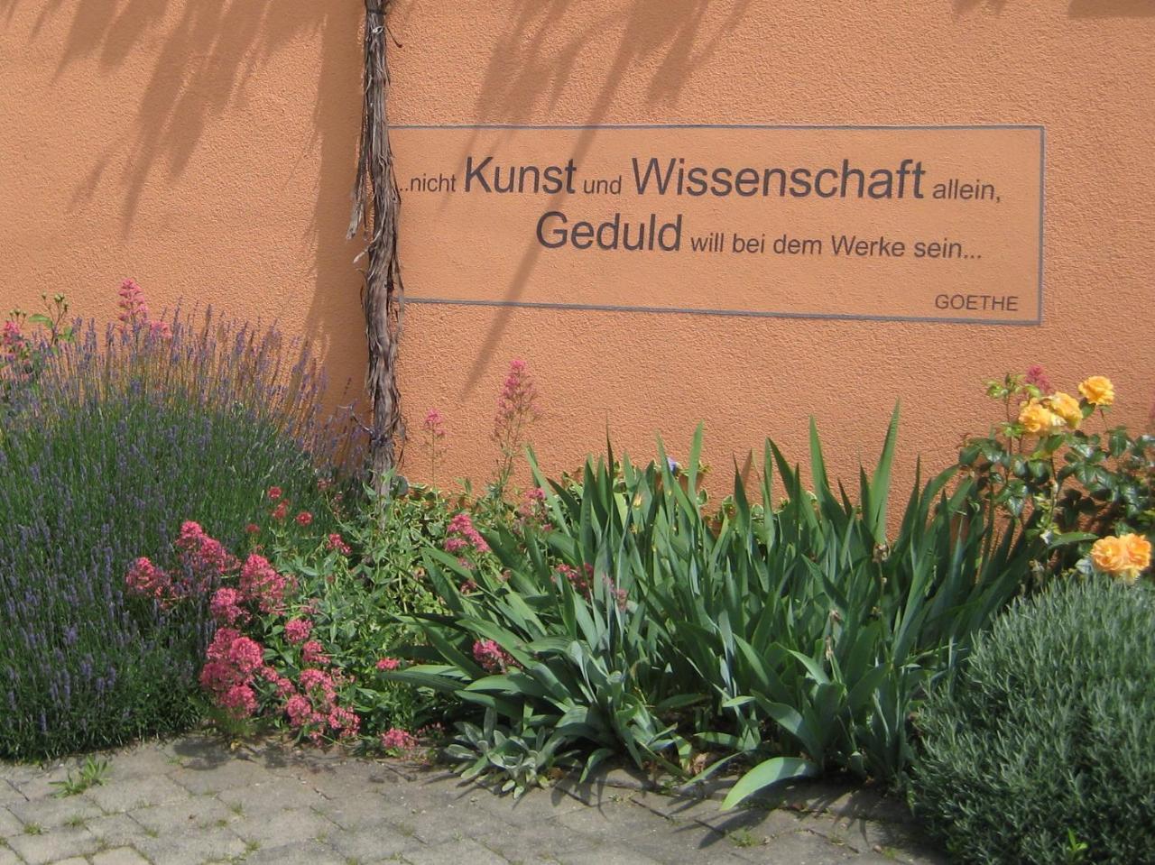 Weinhof Am Nussbaum 3* Willanzheim