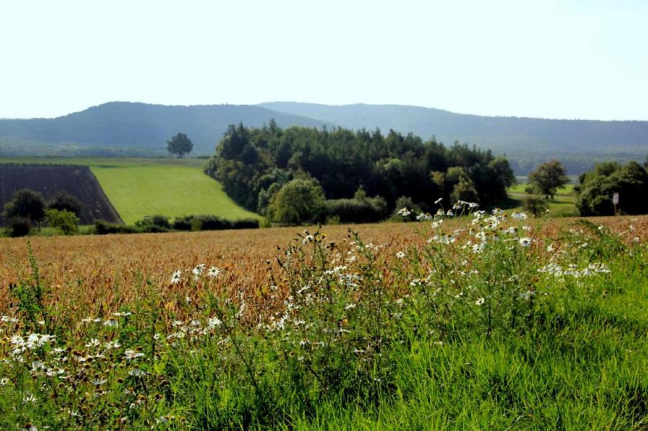 Weinhof Am Nussbaum Gasthof Willanzheim