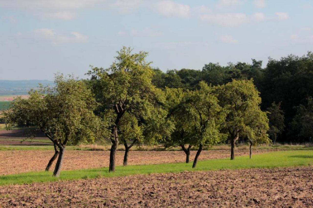 Weinhof Am Nussbaum