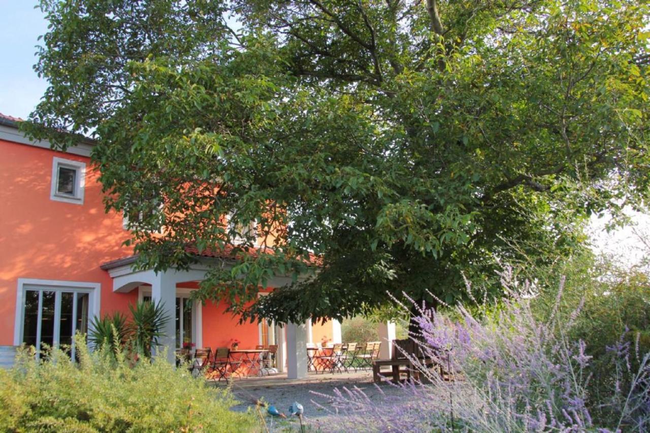 Weinhof Am Nussbaum Gasthof Willanzheim
