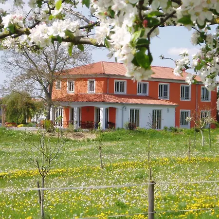 Hotel Weinhof am Nussbaum Willanzheim Exterior foto