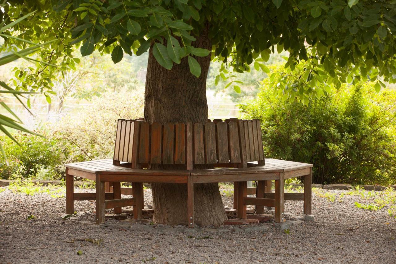 Weinhof Am Nussbaum Gasthof Willanzheim